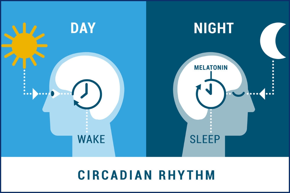 retimer and melatonin